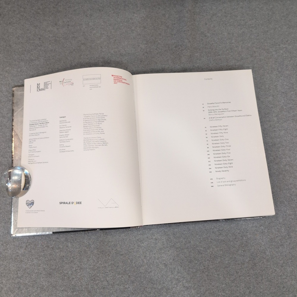 Giosetta Fioroni The 60s in Rome Art Book Silvana Editoriale Hardcover VG - Picture 5 of 5